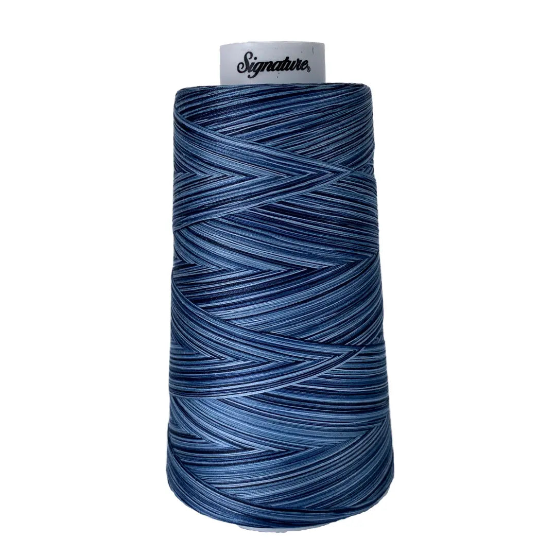 M05 Denim Signature Cotton Variegated Thread