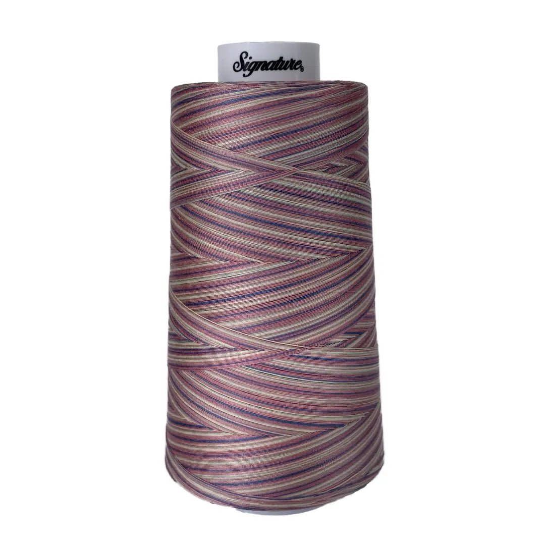 Victorian Thread M06 Victorian Variegated Signature Cotton Variegated Thread