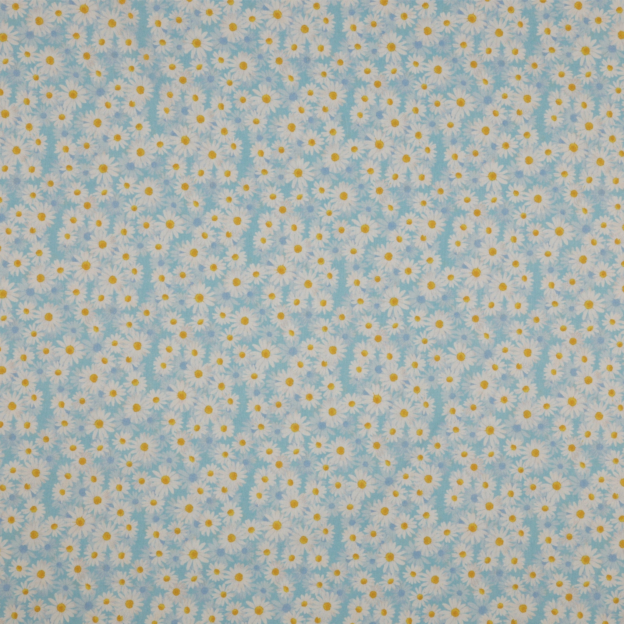 Daisy Dance 108" Wide Quilt Backing - Blue