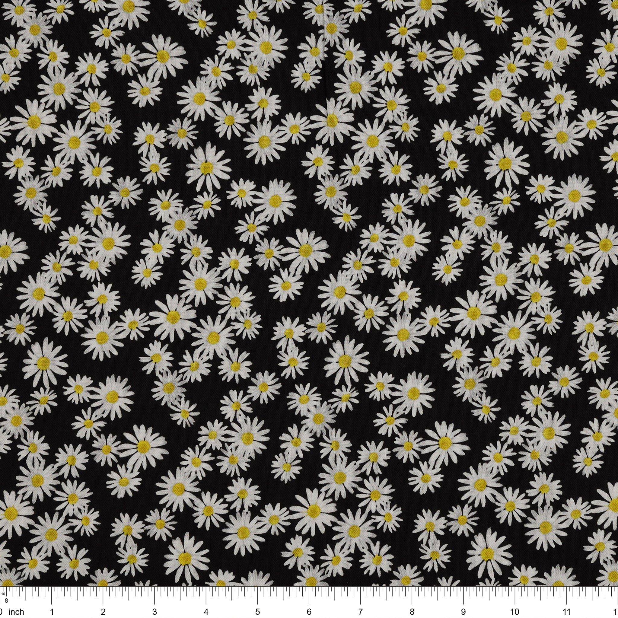Daisy Dance 108" Wide Quilt Backing - Black