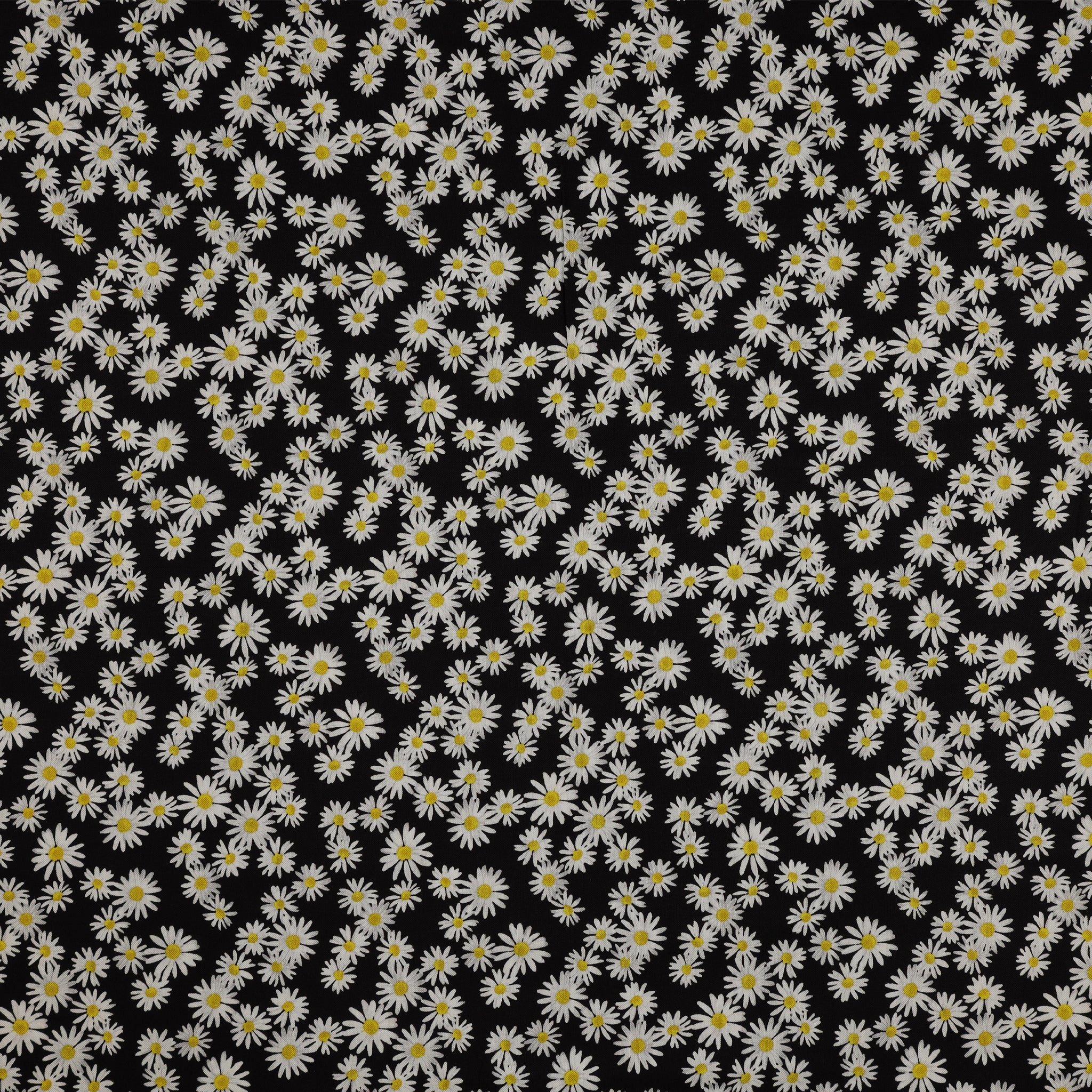 Daisy Dance 108" Wide Quilt Backing - Black