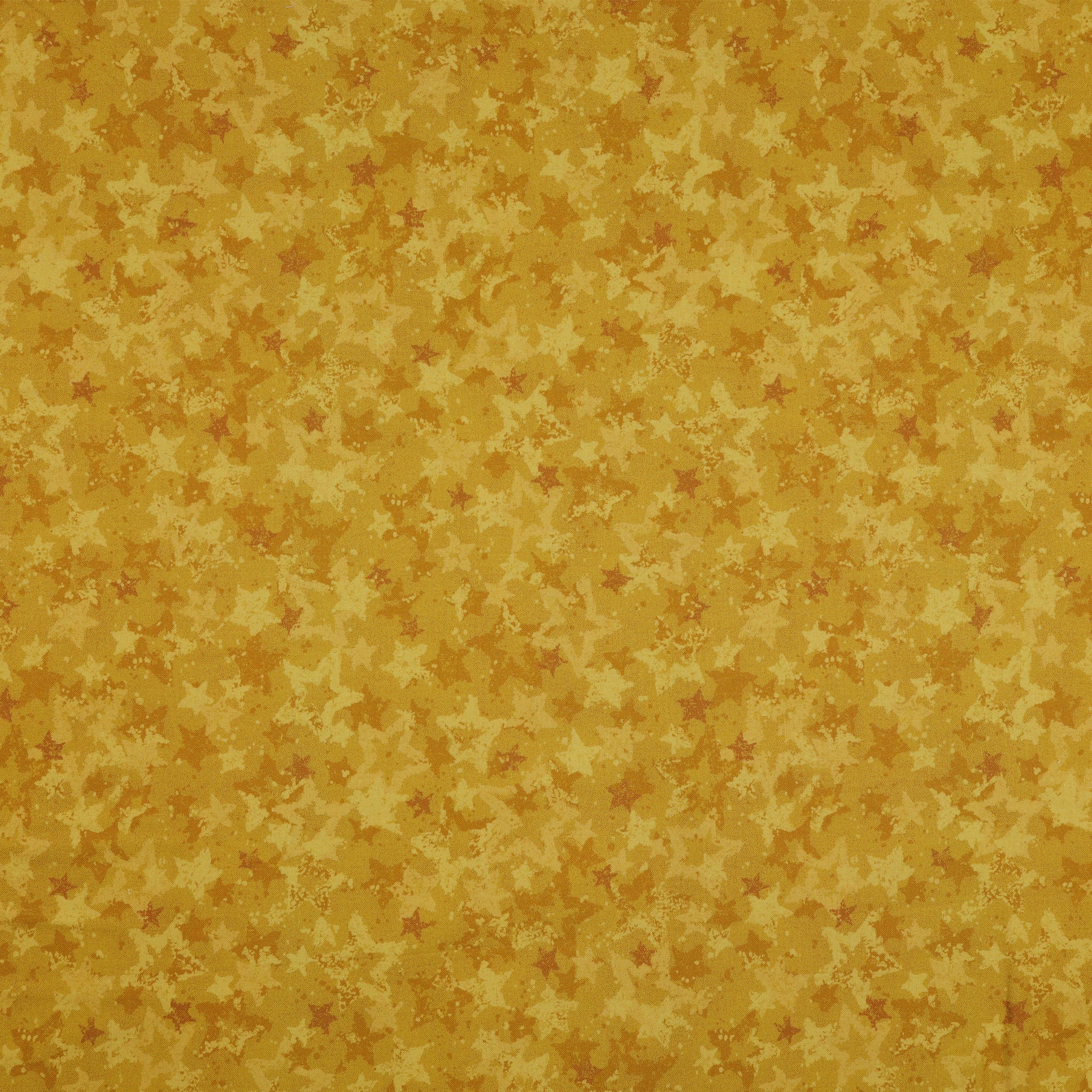 Star of Wonder, Star of Light 108" Wide Quilt Backing - Star Light Gold