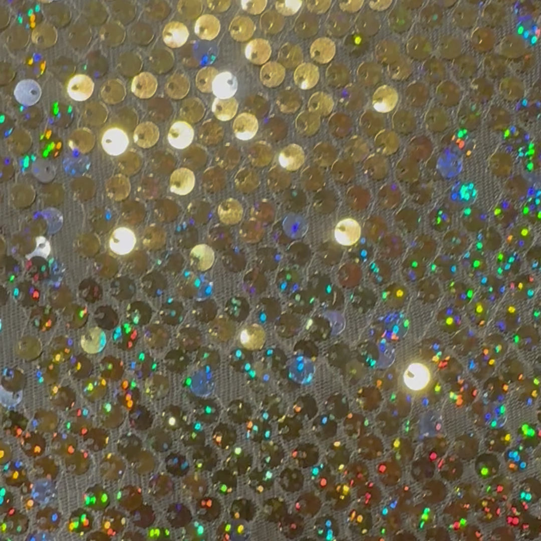 Embroidery Polyester Flipper Sequin On Mesh Fabric | Spandex Palace