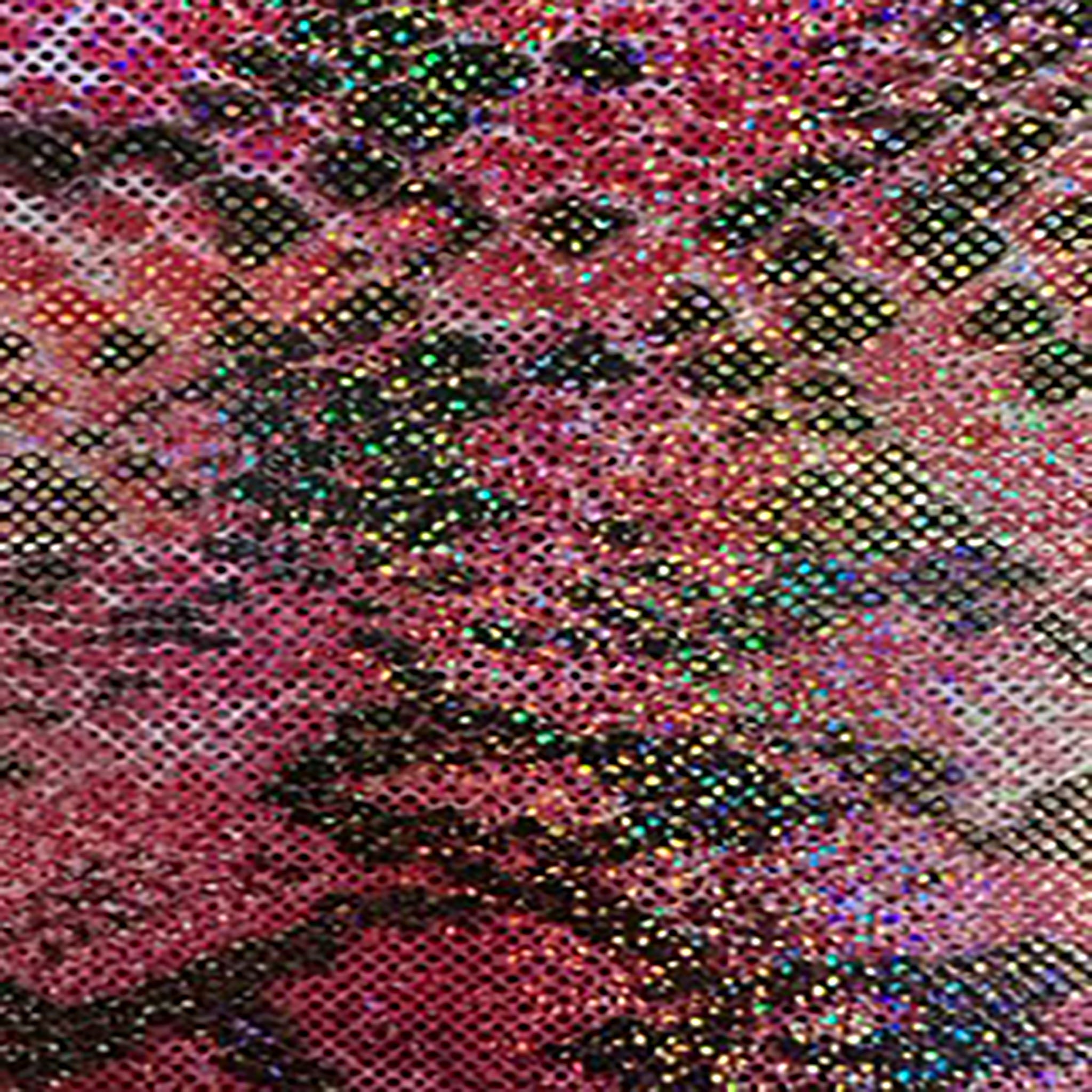 4 Way Nylon Spandex  Snake Summer Snake | Spandex Palace Hot Pink Holo Gold