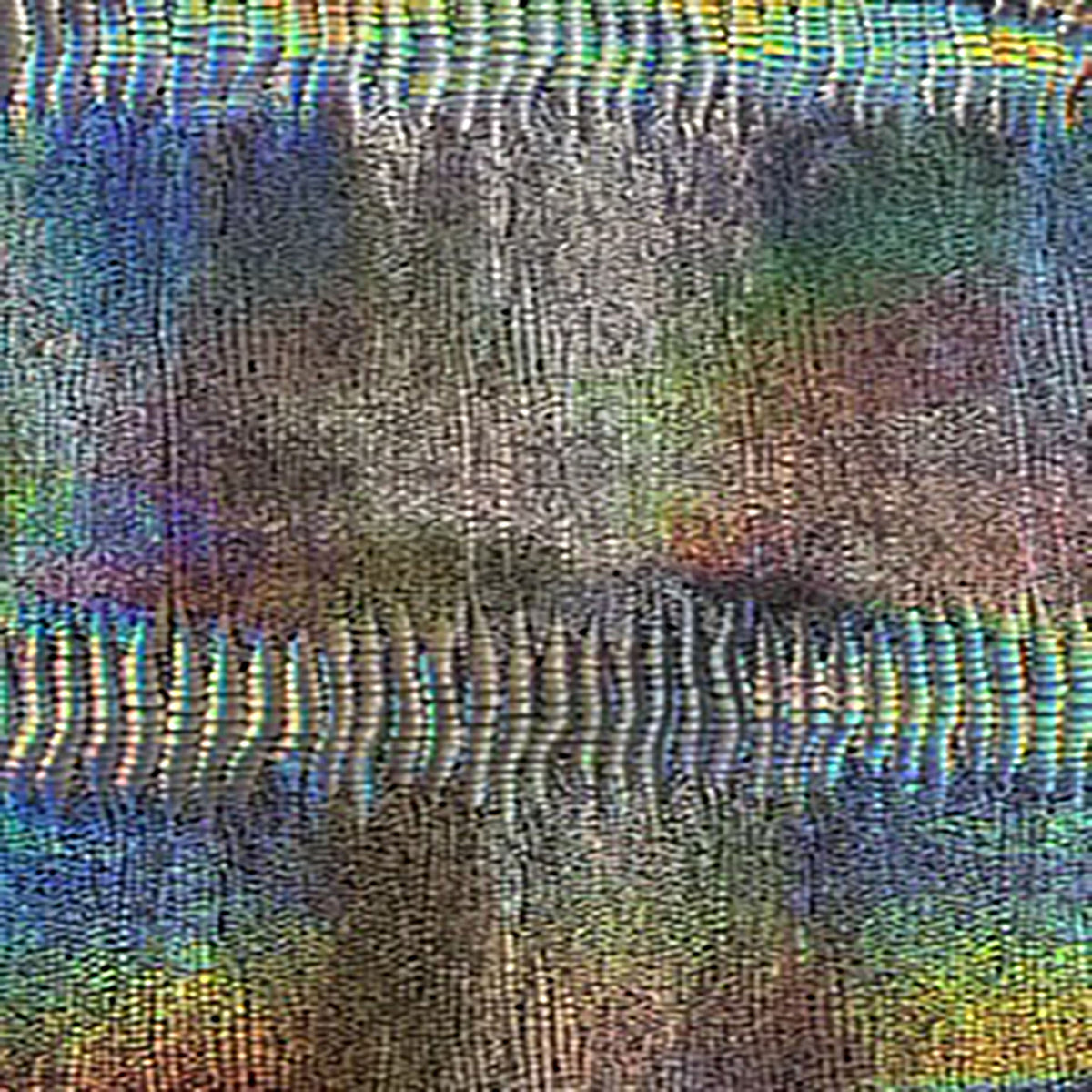 4 Way Stretch Nylon Spandex Lizard Hologram | Spandex Palace Silver