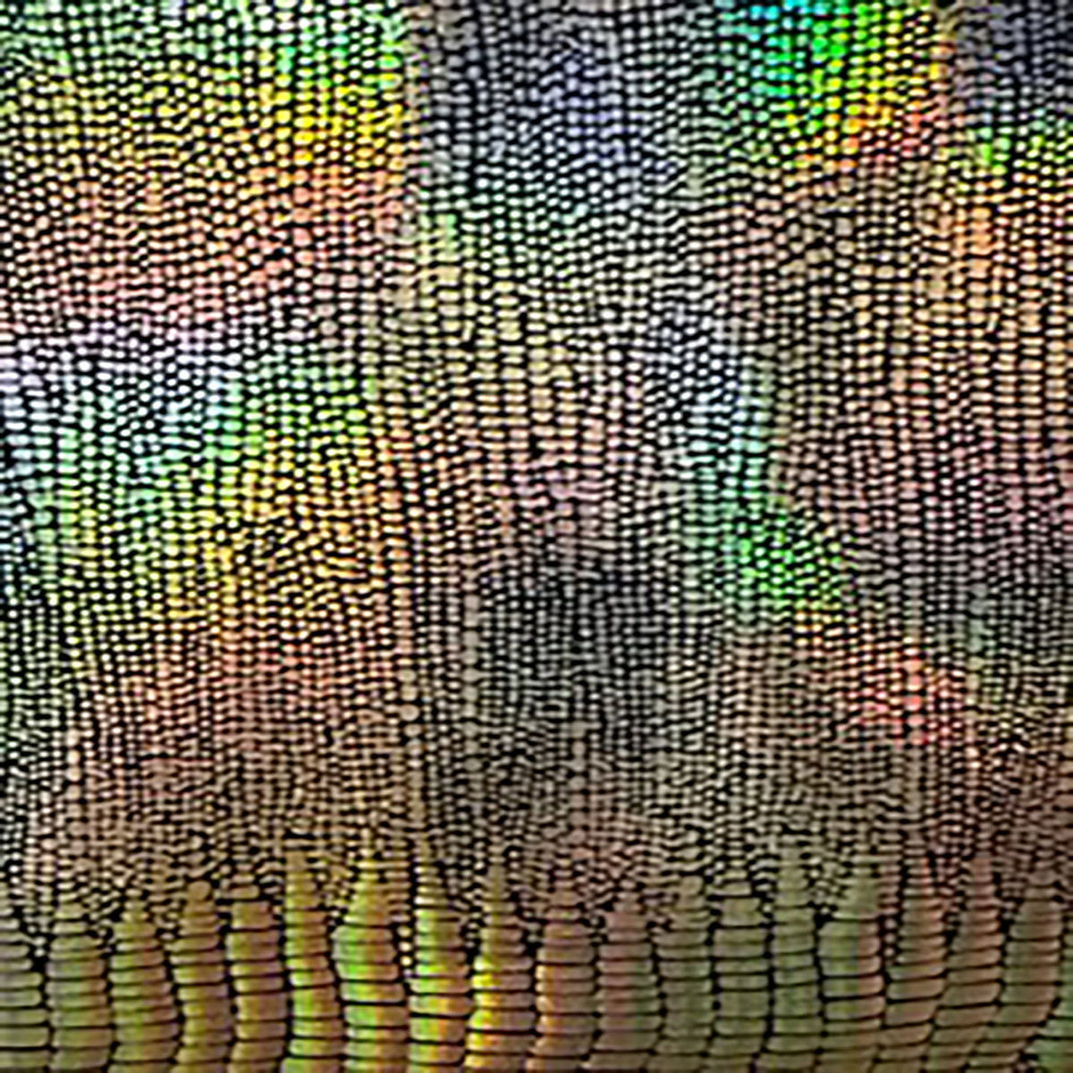 4 Way Stretch Nylon Spandex Lizard Hologram | Spandex Palace Black Gold
